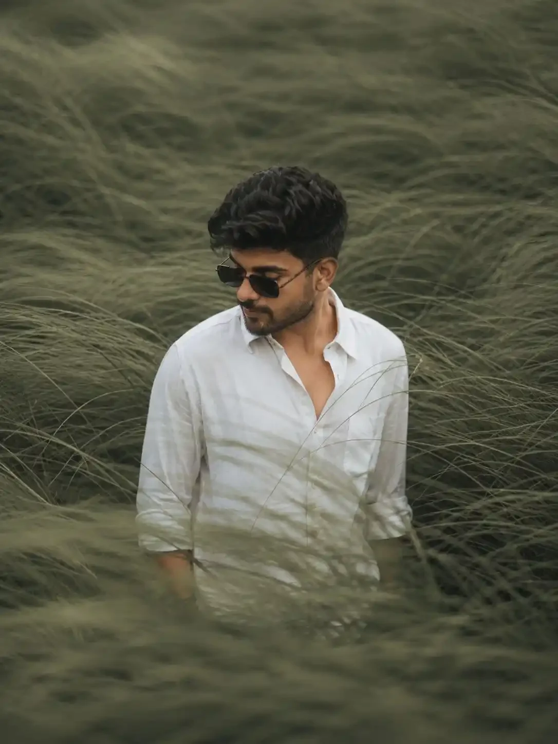 العشب الأخضر السينمائي مرئي مع الرياح التحريرية الجوية الطبيعية للعشب الأخضر السينمائي