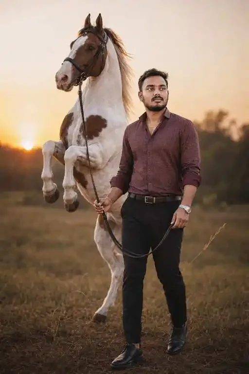 Horse Cinematic Indian visual with cinematic indian golden fashion brown white horse
